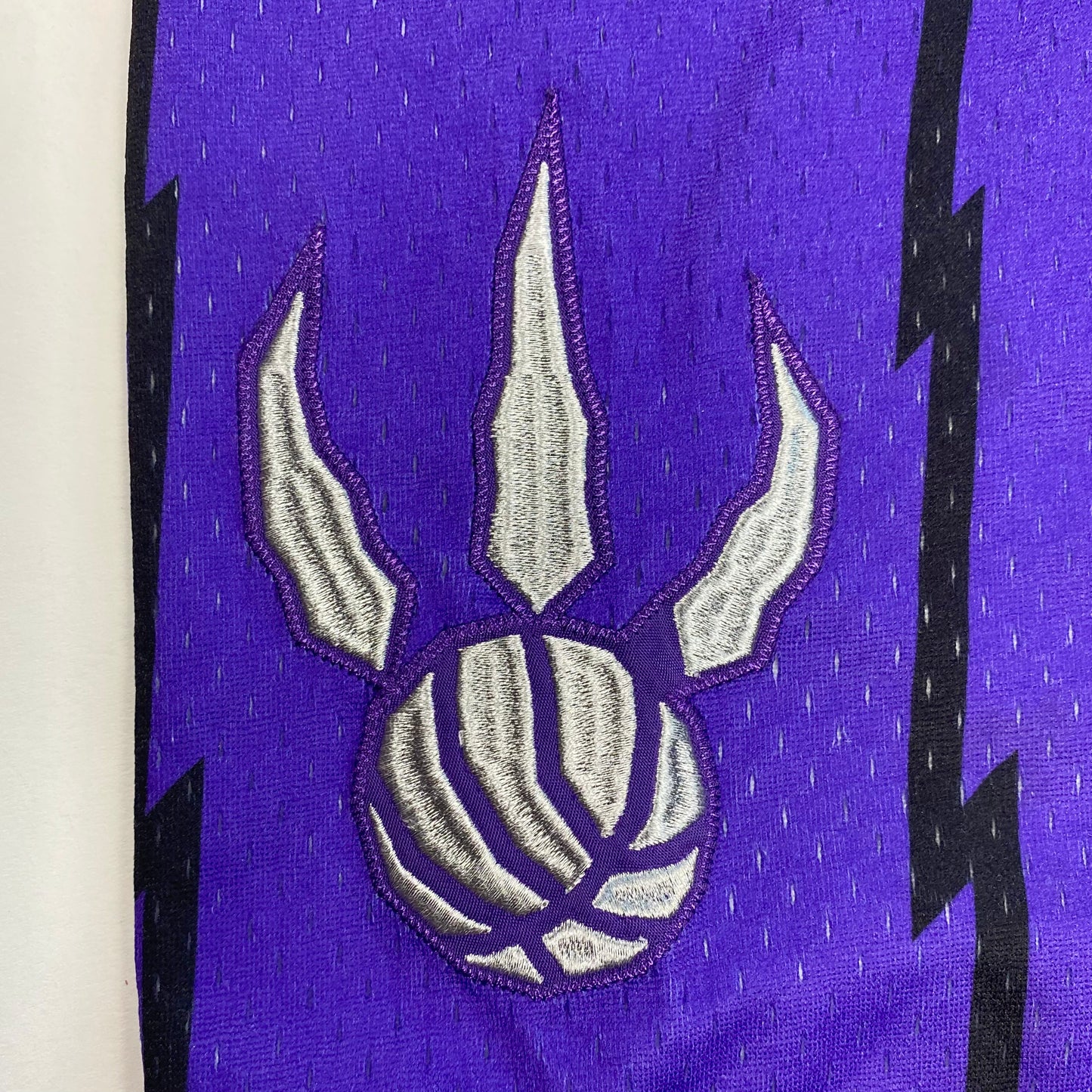 Toronto Raptors Mitchell & Ness Authentic Shorts (M)